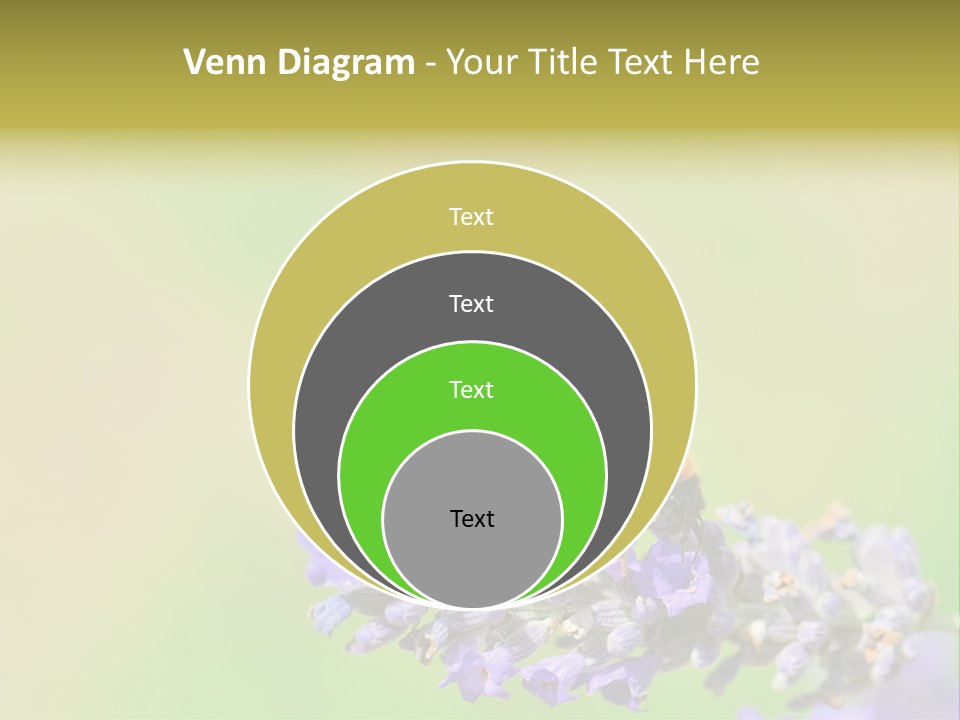 Furry Pollination Pollen PowerPoint Template