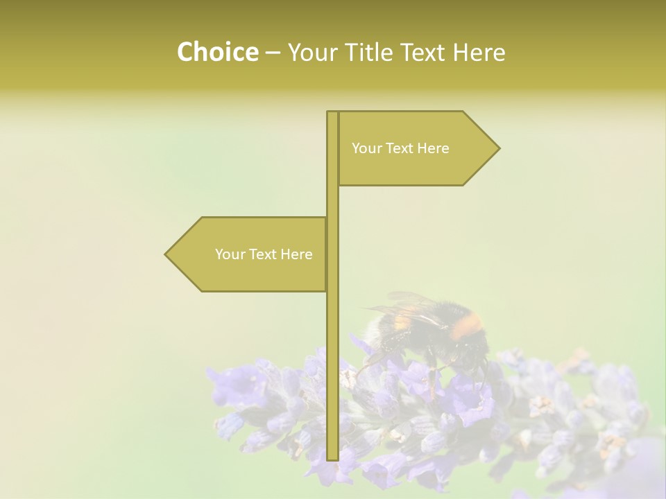 Furry Pollination Pollen PowerPoint Template