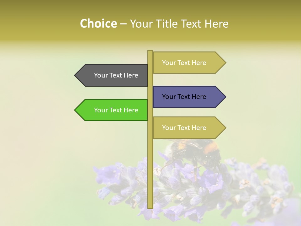 Furry Pollination Pollen PowerPoint Template