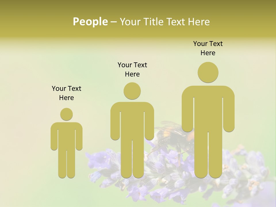 Furry Pollination Pollen PowerPoint Template