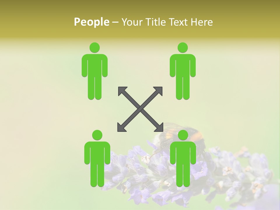 Furry Pollination Pollen PowerPoint Template