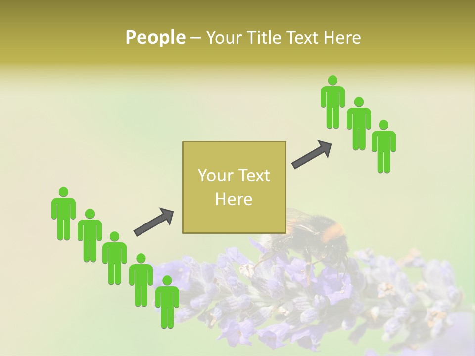 Furry Pollination Pollen PowerPoint Template