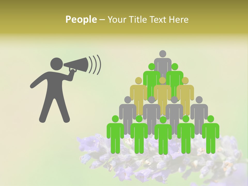 Furry Pollination Pollen PowerPoint Template