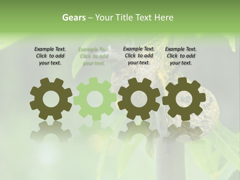 Fatball Feather Moving PowerPoint Template