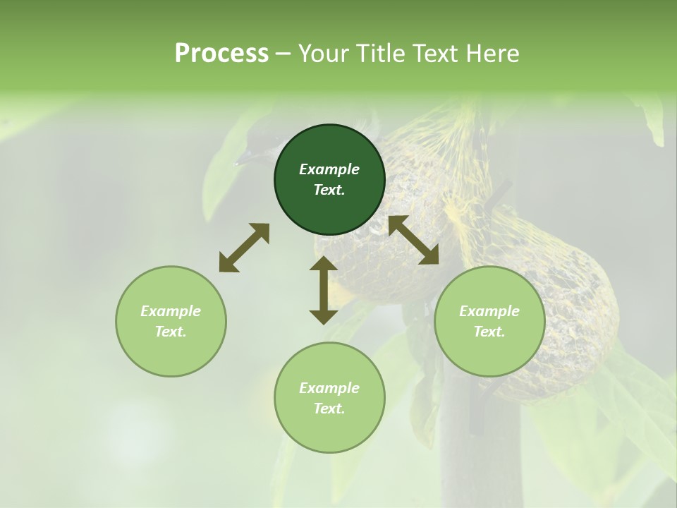 Fatball Feather Moving PowerPoint Template