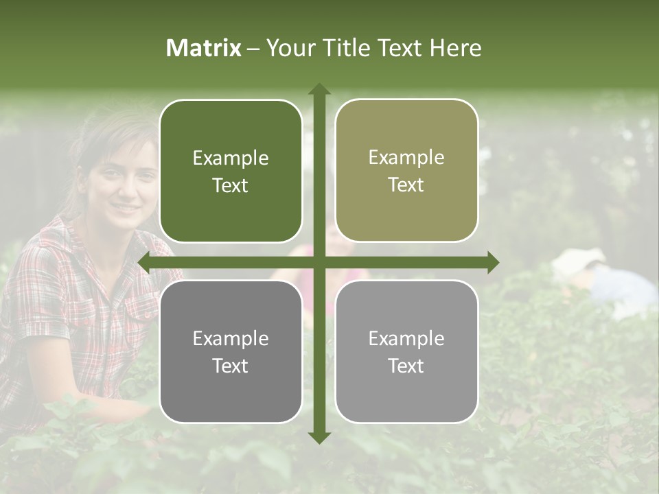 Pastoral Farming Three PowerPoint Template