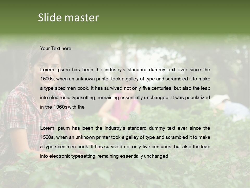 Pastoral Farming Three PowerPoint Template