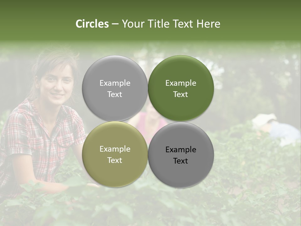 Pastoral Farming Three PowerPoint Template