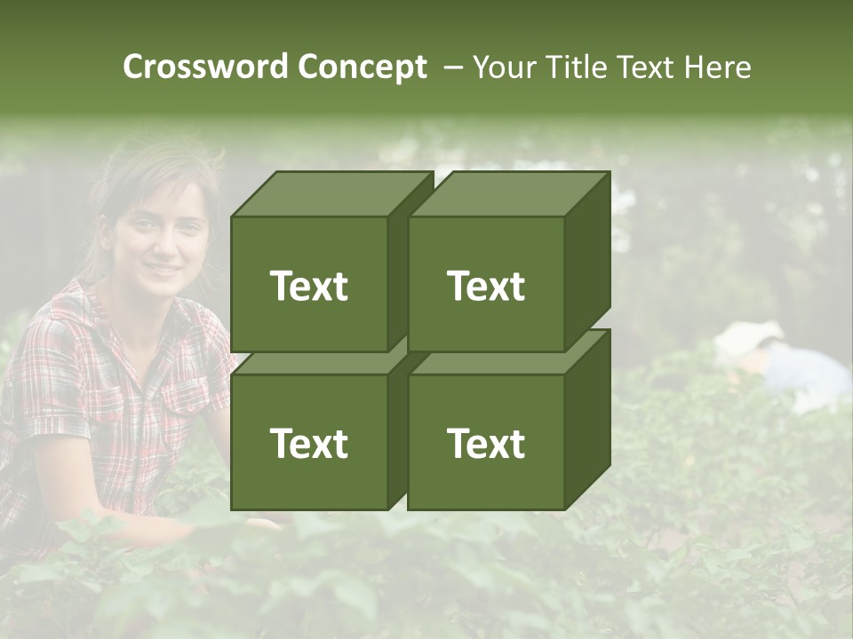 Pastoral Farming Three PowerPoint Template