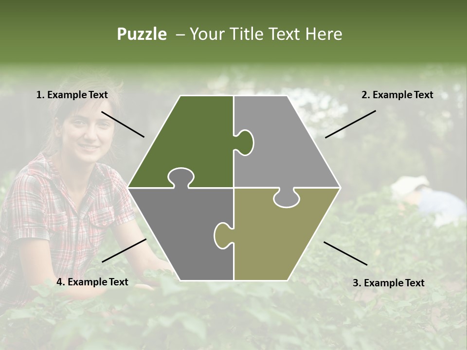 Pastoral Farming Three PowerPoint Template