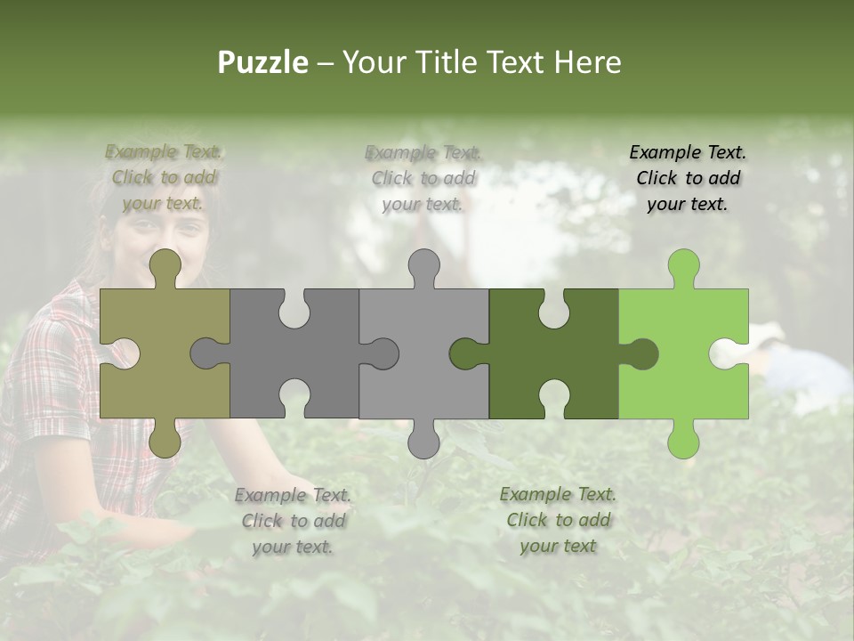 Pastoral Farming Three PowerPoint Template