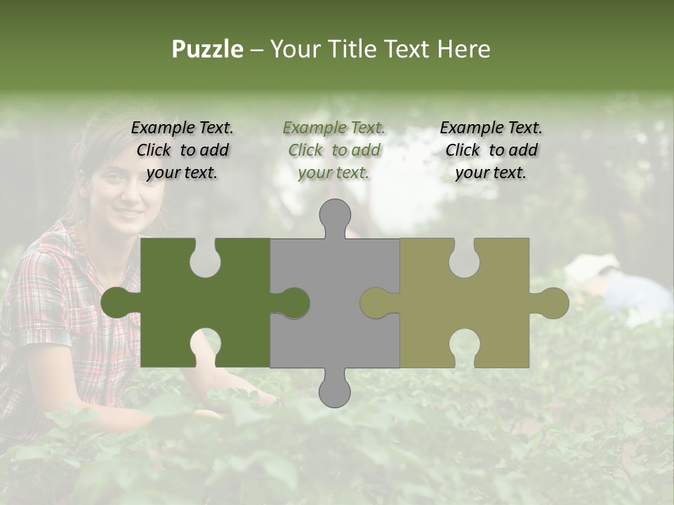 Pastoral Farming Three PowerPoint Template