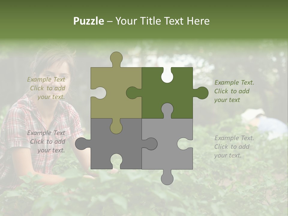Pastoral Farming Three PowerPoint Template