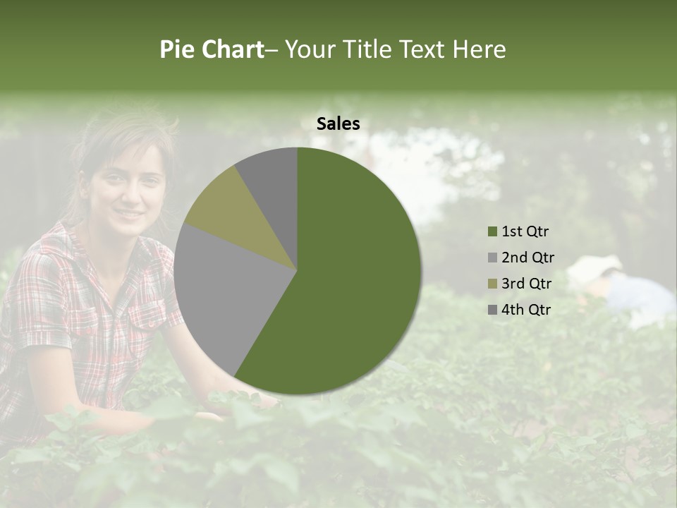 Pastoral Farming Three PowerPoint Template