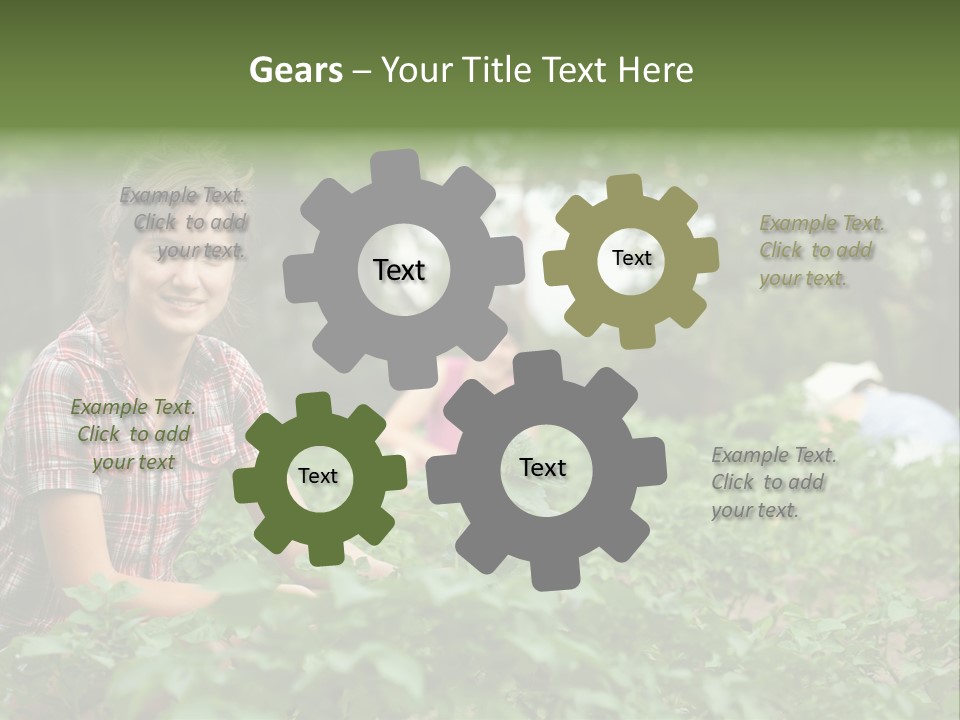 Pastoral Farming Three PowerPoint Template