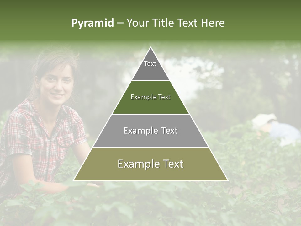 Pastoral Farming Three PowerPoint Template