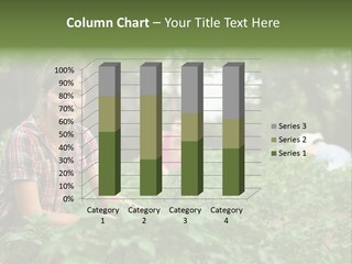 Pastoral Farming Three PowerPoint Template