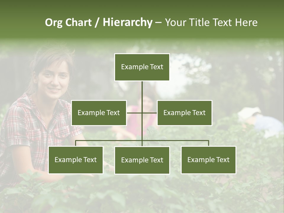 Pastoral Farming Three PowerPoint Template