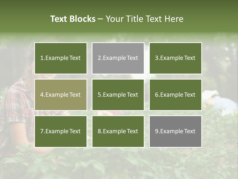 Pastoral Farming Three PowerPoint Template