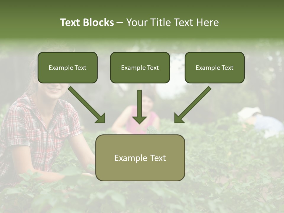 Pastoral Farming Three PowerPoint Template