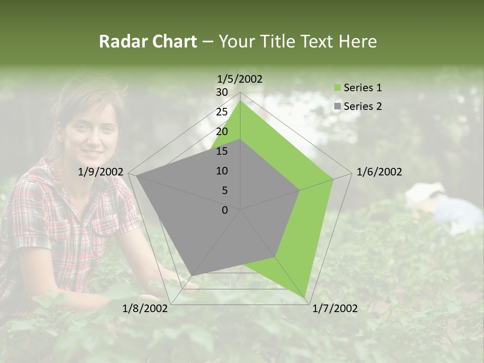 Pastoral Farming Three PowerPoint Template