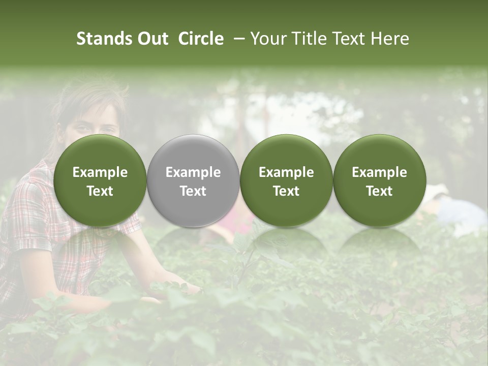 Pastoral Farming Three PowerPoint Template