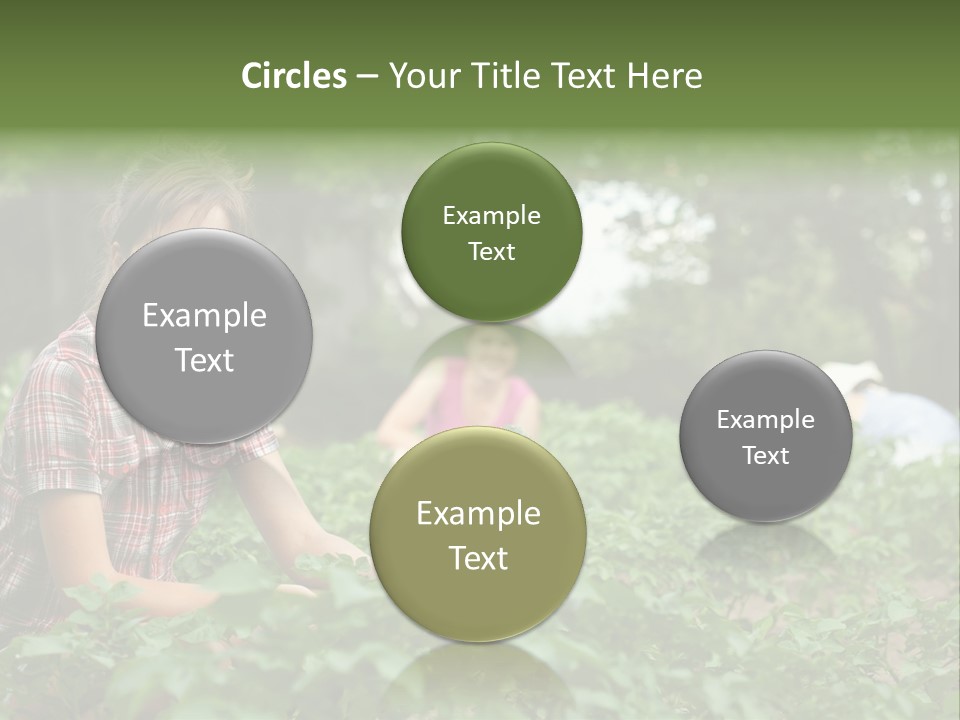 Pastoral Farming Three PowerPoint Template