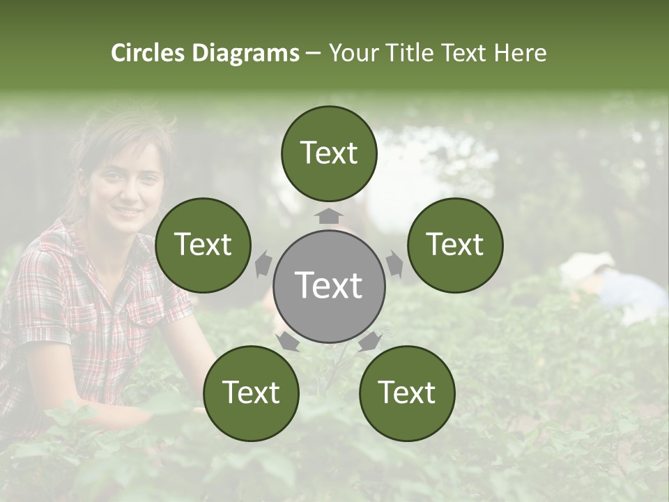 Pastoral Farming Three PowerPoint Template