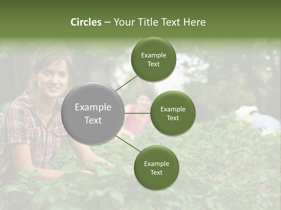 Pastoral Farming Three PowerPoint Template