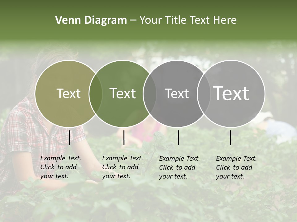 Pastoral Farming Three PowerPoint Template
