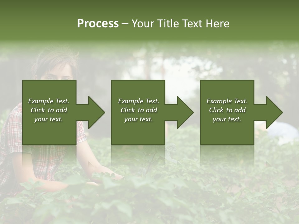 Pastoral Farming Three PowerPoint Template