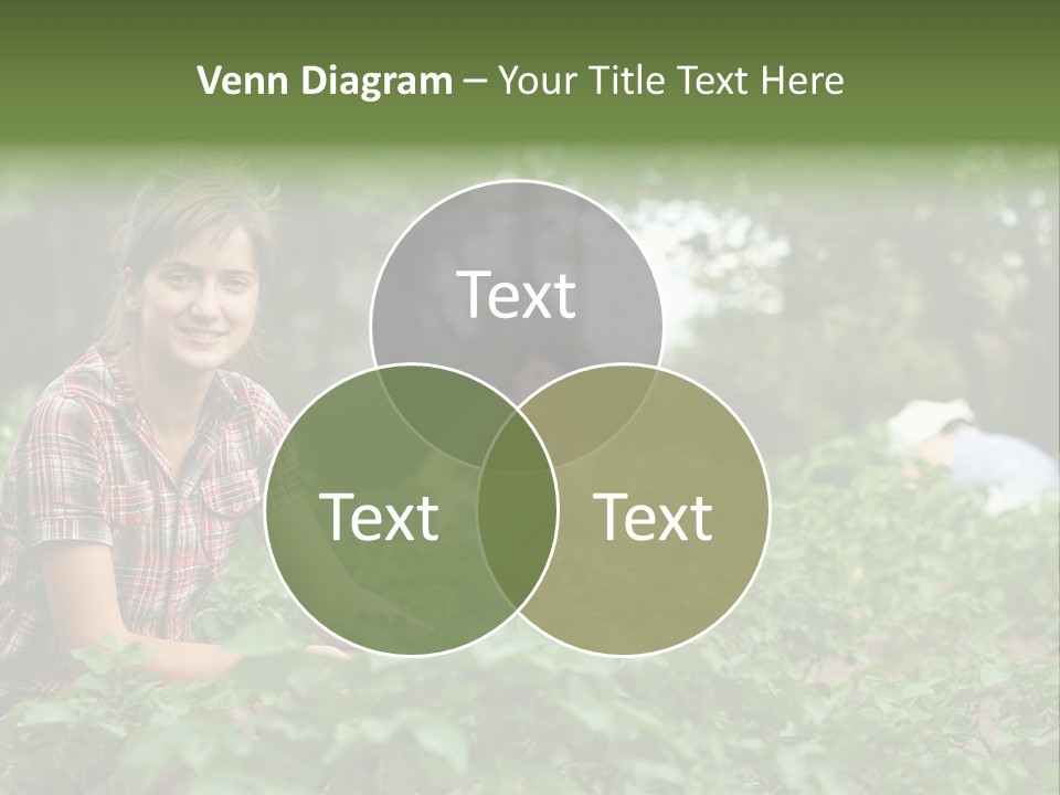 Pastoral Farming Three PowerPoint Template