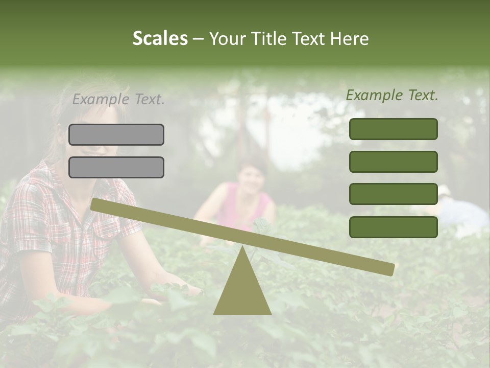 Pastoral Farming Three PowerPoint Template
