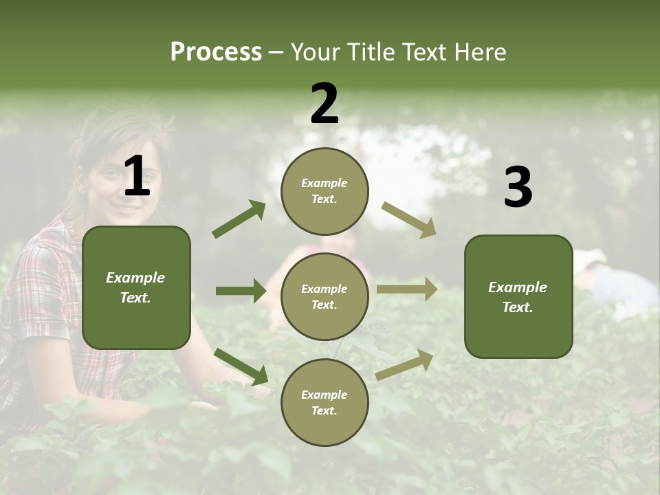 Pastoral Farming Three PowerPoint Template
