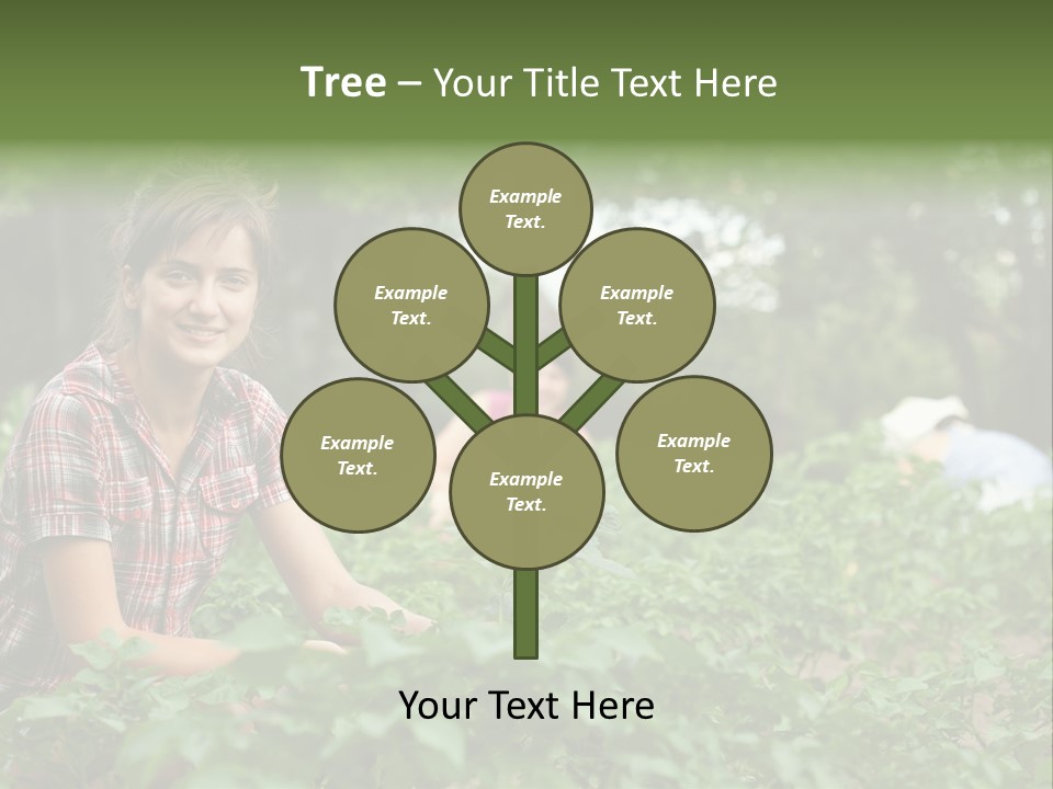Pastoral Farming Three PowerPoint Template