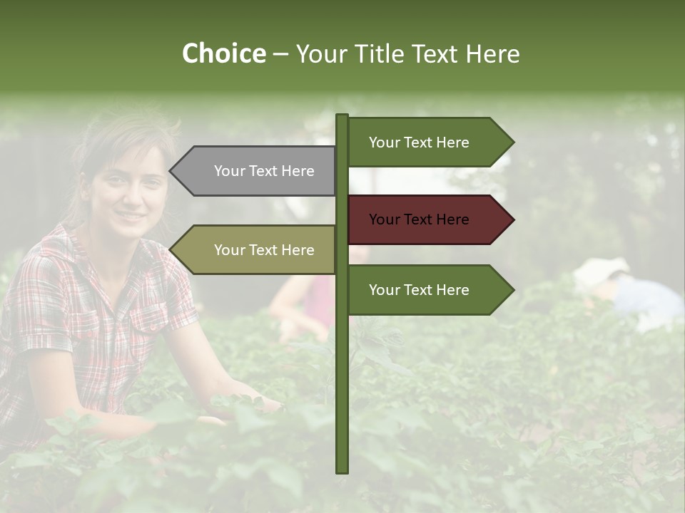 Pastoral Farming Three PowerPoint Template