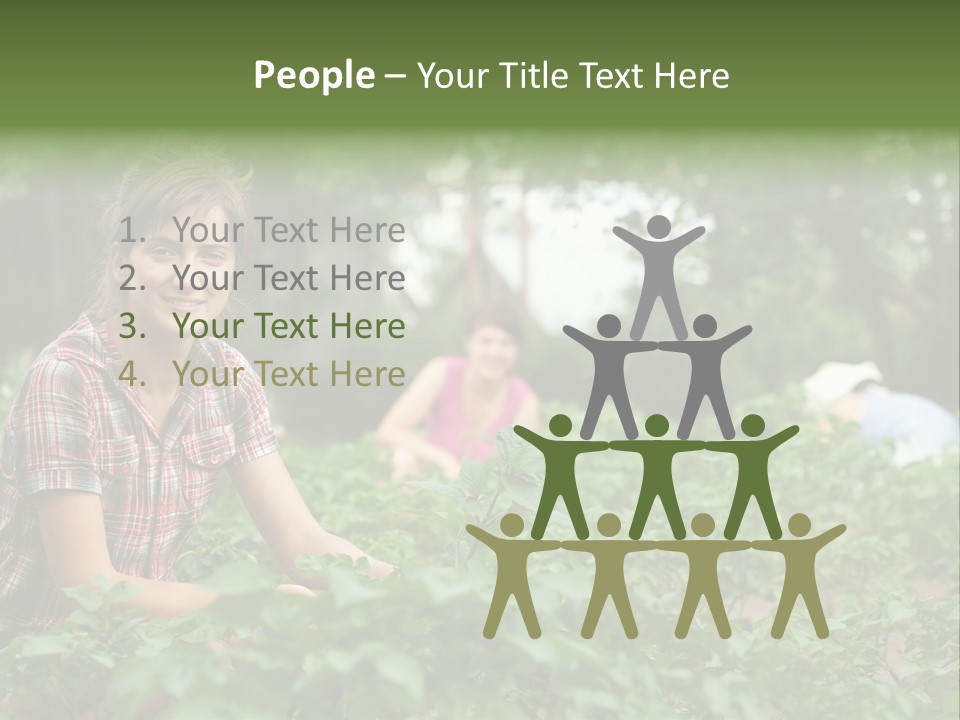 Pastoral Farming Three PowerPoint Template
