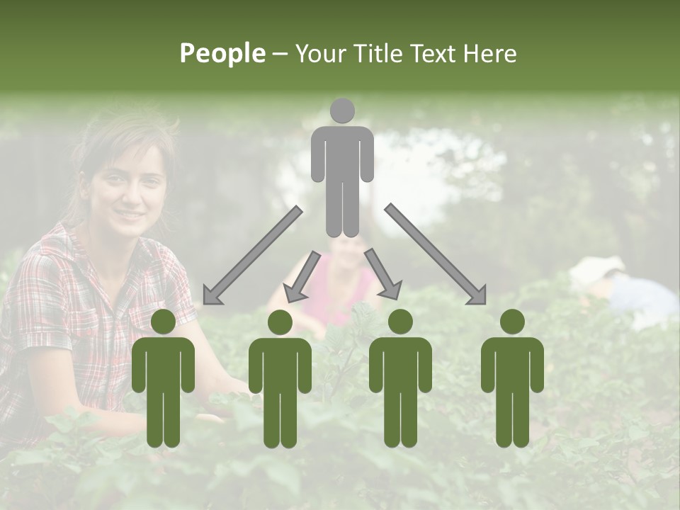 Pastoral Farming Three PowerPoint Template