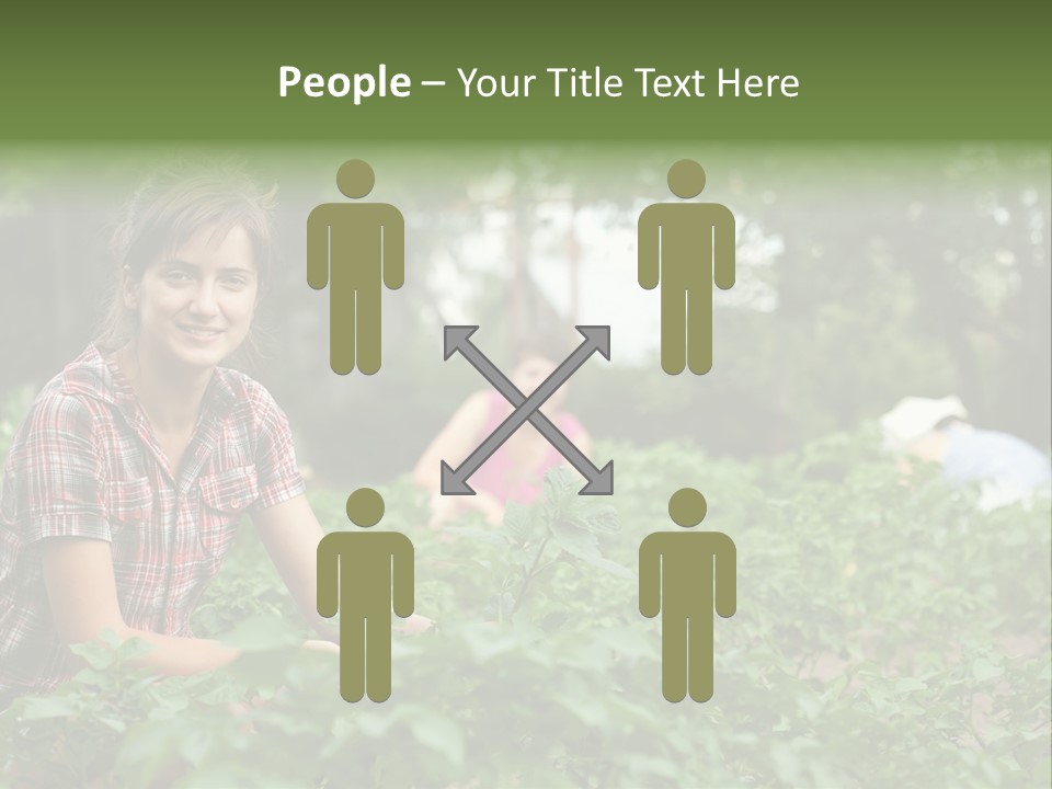 Pastoral Farming Three PowerPoint Template