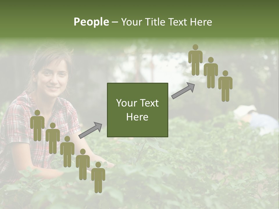 Pastoral Farming Three PowerPoint Template