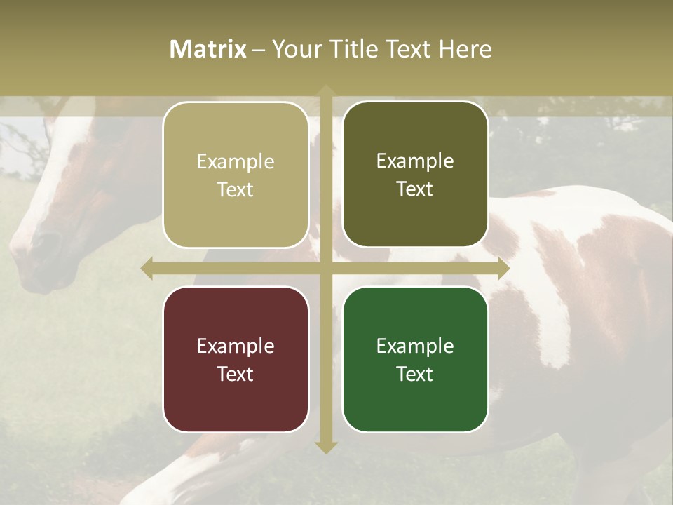 American Landscape Outdoor PowerPoint Template