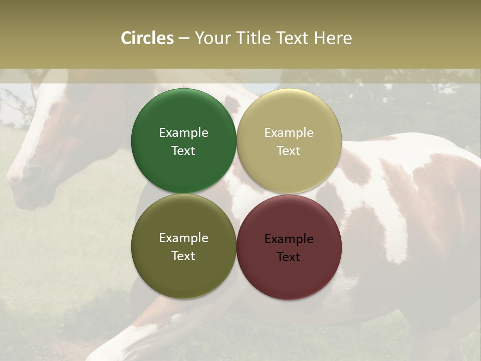 American Landscape Outdoor PowerPoint Template