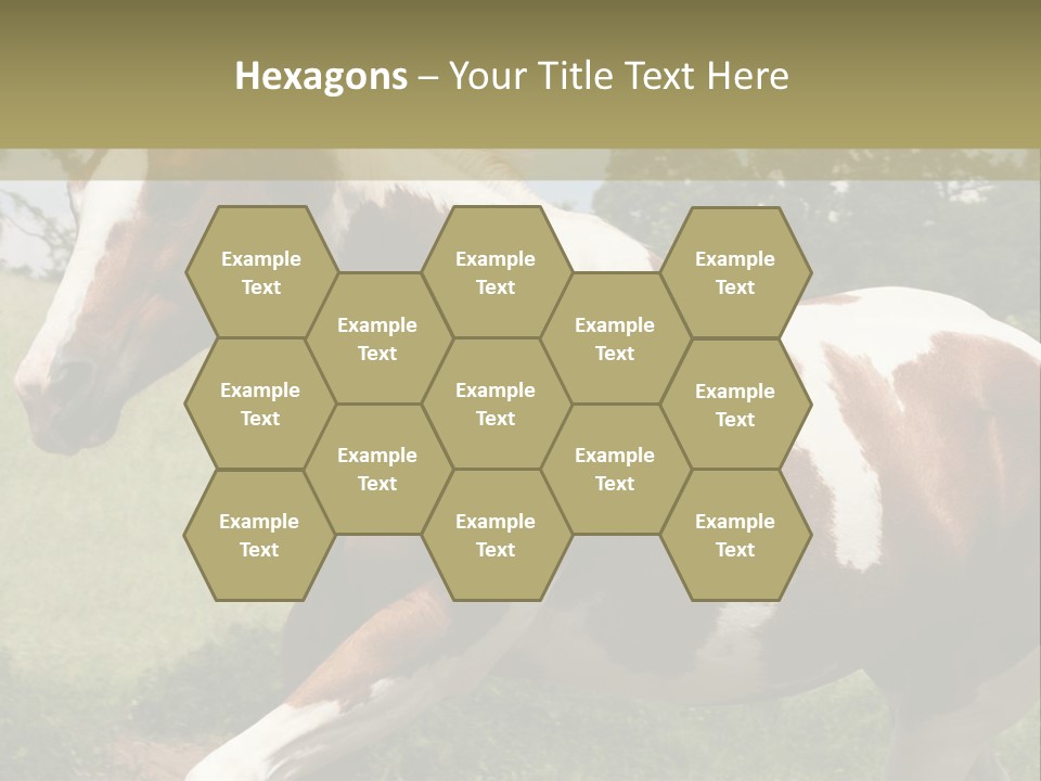 American Landscape Outdoor PowerPoint Template