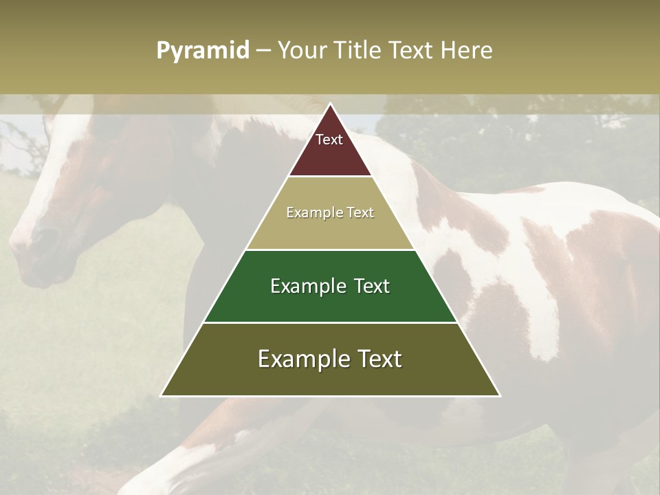 American Landscape Outdoor PowerPoint Template