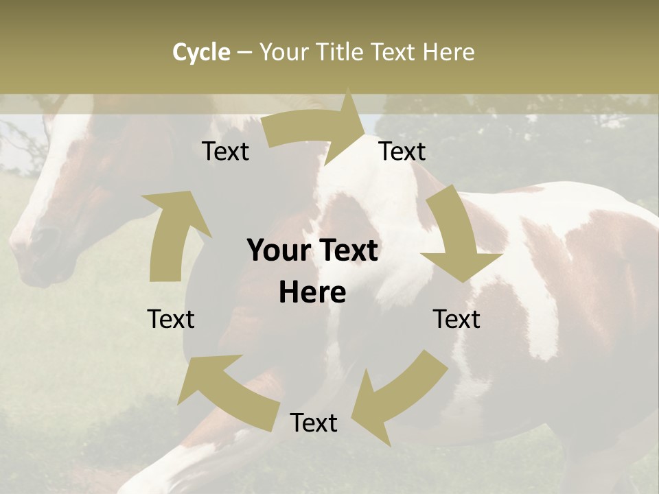 American Landscape Outdoor PowerPoint Template