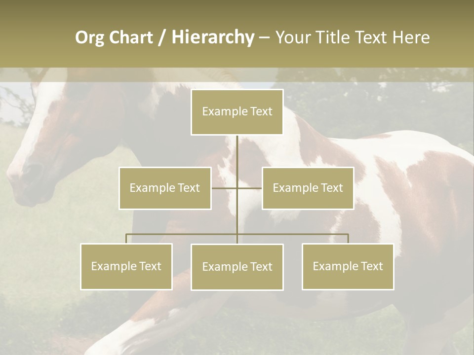 American Landscape Outdoor PowerPoint Template