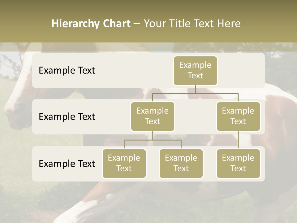 American Landscape Outdoor PowerPoint Template