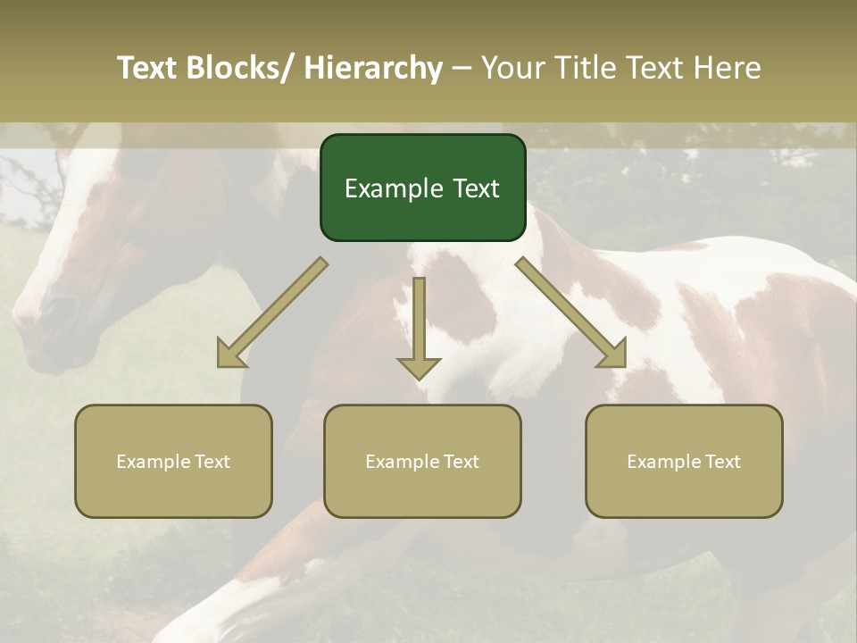 American Landscape Outdoor PowerPoint Template
