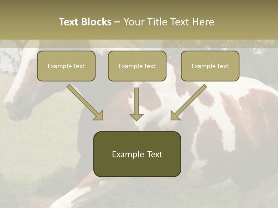 American Landscape Outdoor PowerPoint Template
