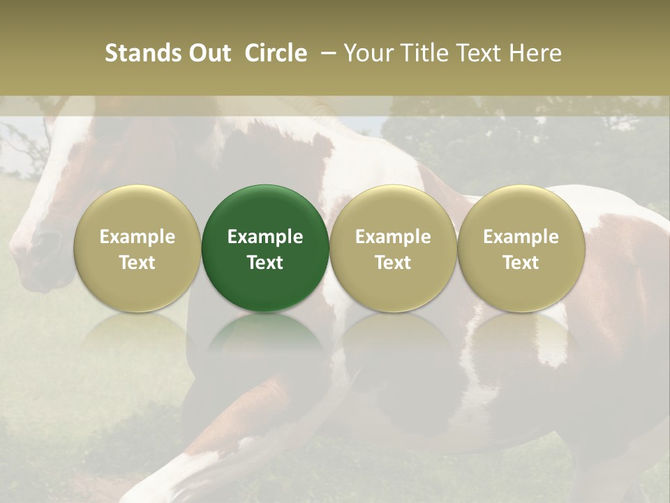 American Landscape Outdoor PowerPoint Template